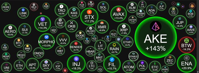 A crypto market heatmap displays numerous tokens with their price changes, highlighted by $AKE's massive +143% surge shown in a large central bubble, alongside other notable gainers like $ENA (+20.9%), $INJ (+18.3%), $STX (+17.2%), $FIL (+15.7%), and $VET (+14.3%) all glowing green to reflect the broader market rally described in the whale watch post.