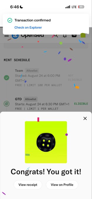 A mobile screen showing a successful NFT mint confirmation with the message 'Congrats! You got it!' alongside a 'Transaction confirmed' notification at the top.