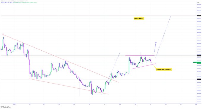 A TradingView candlestick chart showing a falling wedge breakout with annotations "NEXT TARGET" and "ASCENDING TRIANGLE".