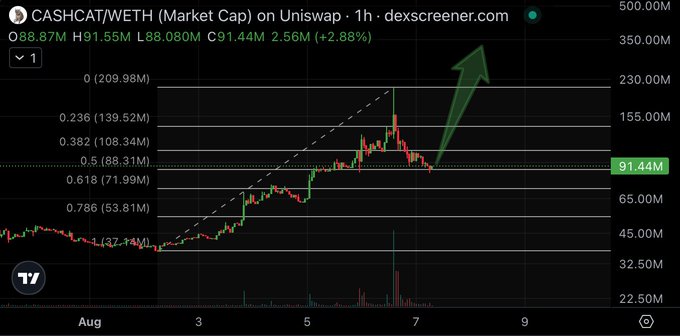 The image shows a 1-hour candlestick chart of the CASHCAT/WETH pair on Uniswap with a market cap currently at $91.44M (+2.88%), displaying a breakout pattern where price has flipped a previous resistance level (~$88.31M) into new support, with a large green arrow indicating an anticipated upward rally toward higher targets like $139.52M or $209.98M. This technical setup visually supports the post's claim of CASHCAT flipping resistance into support and sets the stage for the projected rally that could create new millionaires.