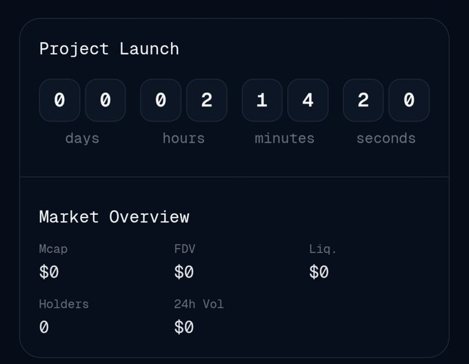 A dark-themed project launch countdown timer showing 00 days, 02 hours, 14 minutes, 20 seconds remaining, with a Market Overview below displaying all zeros for Mcap, FDV, Liq., Holders, and 24h Vol.