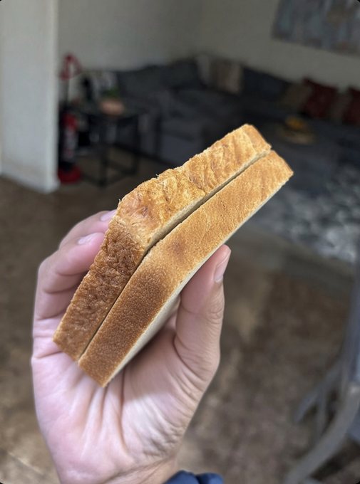 A hand holds two slices of plain toasted bread in the foreground, with a blurry living room containing a couch visible in the background.