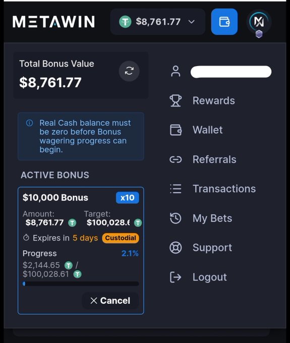 The image shows a Metawin account dashboard displaying a $10,000 Bonus (x10) with a total bonus value of $8,761.77 and a wagering target of $100,028.61, currently only at 2.1% progress ($2,144.65) with 5 days remaining. This directly illustrates the poster's concern, showing exactly how much wagering work remains to clear the bonus requirements.