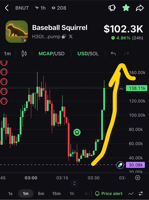 A mobile trading chart for the memecoin 'Baseball Squirrel' (BNUT) showing a price of $102.3K with a 4.8% gain in 24 hours, featuring a hand-drawn yellow arrow pointing upward over the candlestick graph.