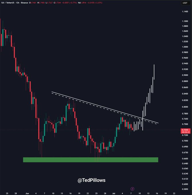 A 12-hour SUI/USDT candlestick chart on Binance showing price action around $0.7344, featuring a descending trendline that has been broken to the upside with a strong rally toward $0.9400, and a green support zone marked near $0.6460-$0.6700. The chart's bullish breakout visually reinforces the post's claim that SUI's strong base formation signals potential further upside.