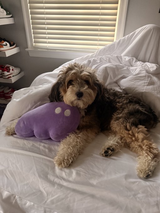 The image features a brown dog lying down on a bed, with its head resting on a purple stuffed animal that looks like a squid or octopus. The dog appears relaxed and comfortable as it enjoys its morning snuggles. In the background, there is a window with blinds, which adds to the cozy atmosphere of the scene.