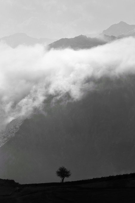 A black-and-white landscape photograph featuring a solitary tree in the foreground with mist-shrouded mountain ridges receding into the distance.