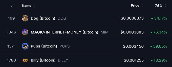 The image displays a cryptocurrency market table featuring four Bitcoin-based meme tokens—DOG (Bitcoin), MIM (MAGIC•INTERNET•MONEY), PUPS (Bitcoin), and BILLY (Bitcoin)—showing significant 7-day gains ranging from 13.29% to 76.34%, illustrating the volatile altcoin opportunities the post laments missing after intending to use them as leveraged BTC plays alongside Ordinals and Runes.
