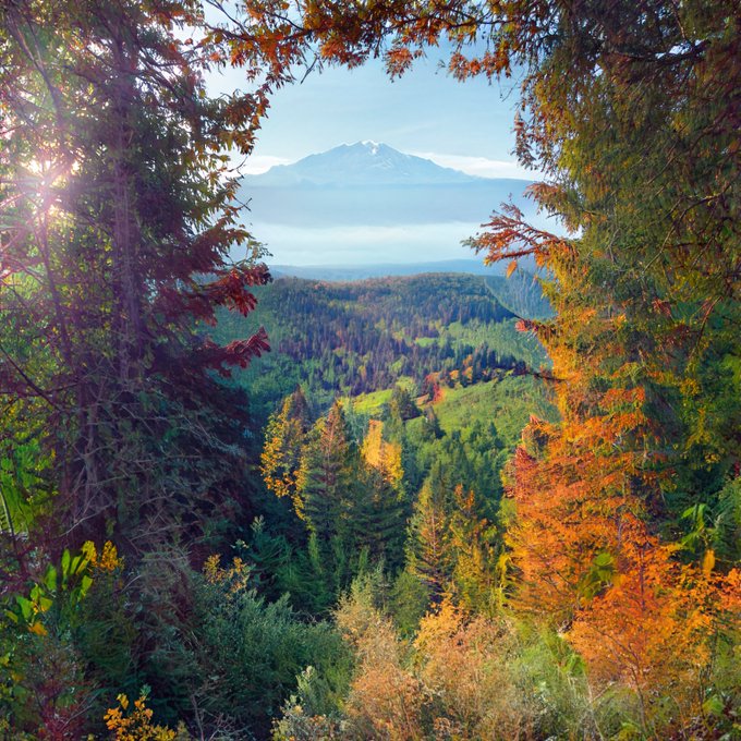 A scenic landscape view showing a snow-capped mountain in the distance, framed by autumn foliage in orange and red, with a forested valley below under a blue sky.
