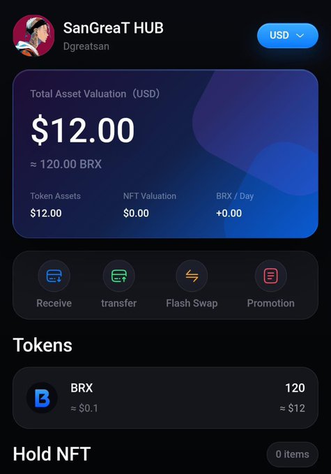 A screenshot of the SanGreaT HUB wallet interface shows a "Total Asset Valuation" of $12.00 USD, equal to 120 BRX tokens ($0.1 each), belonging to user "Dgreatsan." This aligns with the post's claim that registering yields 120 Brivox tokens worth approximately $12.