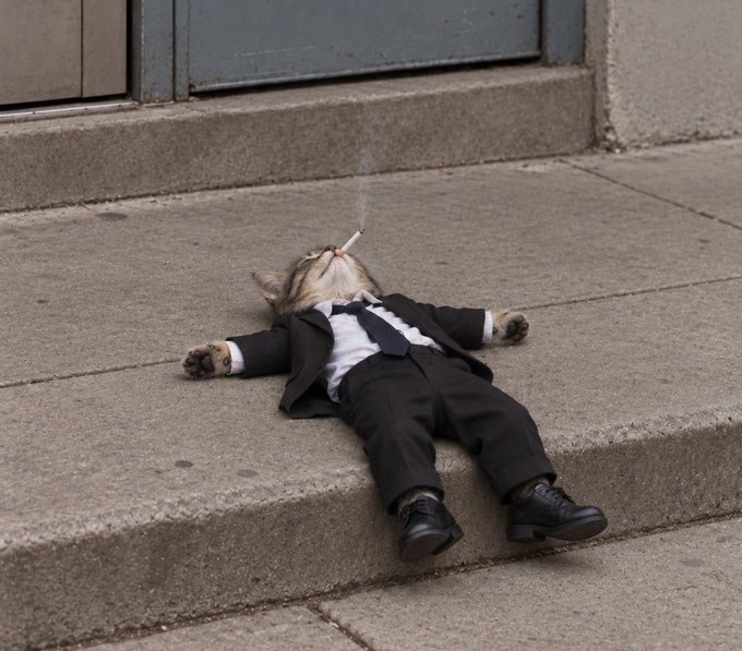 A humorous image of a tabby cat dressed in a tiny black tuxedo, lying on its back on a sidewalk with a cigarette in its mouth, appearing to smoke.