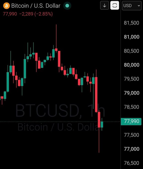 This Bitcoin/USD chart shows a sharp price drop from above $80,000 to the $77,990 mark, illustrating the recent significant liquidation event. The chart visually supports the news of Bitcoin briefly falling below $77,000, with the ticker BTCUSD clearly visible.