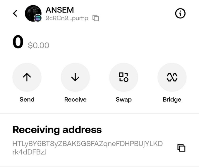 A cryptocurrency wallet interface for 'ANSEM' shows a zero balance with options to Send, Receive, Swap, and Bridge, displaying the receiving address 'HTLyBY6BT8yZBAK5GSFAZqneFDHPBUjYLKDrk4dDFBzJ'.
