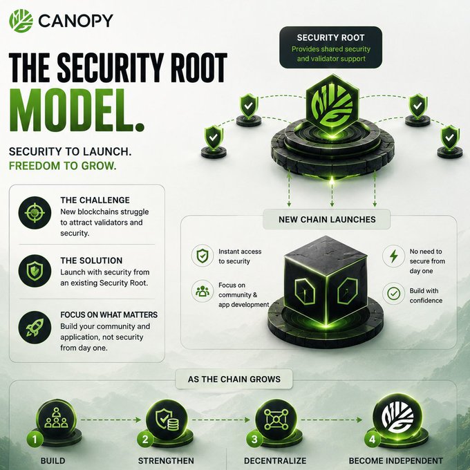 A Canopy promotional infographic titled 'THE SECURITY ROOT MODEL' explaining how new blockchains can launch with shared security from an existing Security Root, with stages from Build to Become Independent.