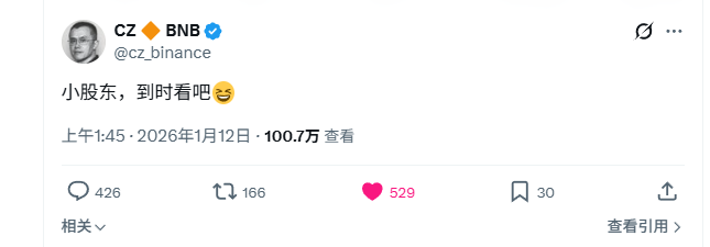 A tweet from CZ (Changpeng Zhao) @cz_binance, the BNB founder, posted on January 12, 2026, with Chinese text translating to 'Small shareholders, you'll see' with a smiling emoji, showing 1.007M views, 529 likes, and 166 retweets.