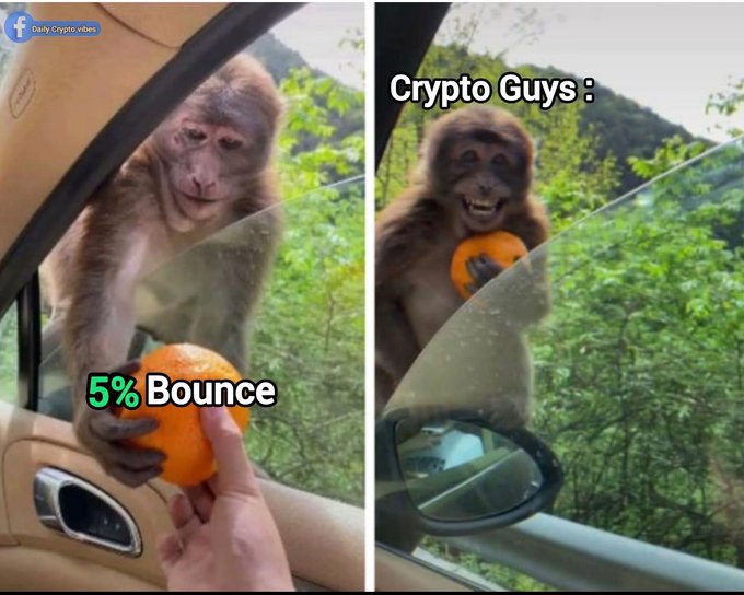 A two-panel meme from "Daily Crypto vibes" showing a monkey receiving an orange labeled "5% Bounce" and then excitedly holding it, captioned "Crypto Guys," mocking crypto investors' excitement over small gains.