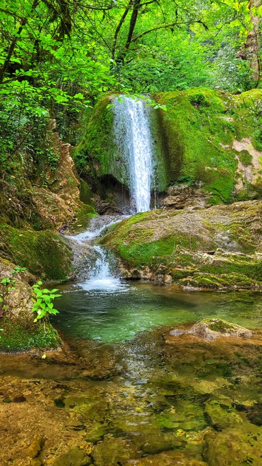 A scenic photograph of a small waterfall cascading over moss-covered rocks into a clear, shallow pool surrounded by lush green forest vegetation.