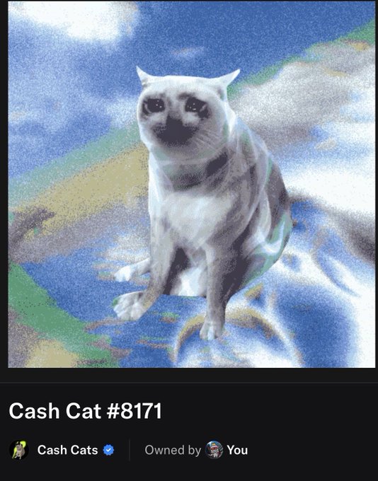A Polaroid-style image showing a Siamese cat sitting on a colorful, patterned blanket against a cloudy blue sky background; the caption below reads 'Cash Cat #8171', 'Cash Cats' (verified), and 'Owned by You'.