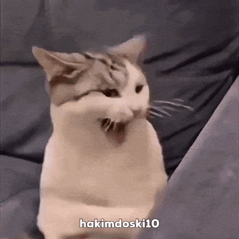 The image features a gray and white cat sitting on top of a couch, looking at something off-camera with its head tilted slightly to the left. There are also some text elements in the image that read "Day 19 of posting a cat GIF until $HotEmin is released The market changes NOTHING".