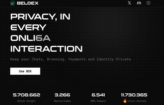 Beldex website banner with the slogan "PRIVACY, IN EVERY ONLINE INTERACTION" promoting BDX for private chats, browsing, payments, and identity, displaying stats: Block Height 5,708,662, Masternodes 3,266, BNS Domain 6,541, and 11,730,365 coins burned.