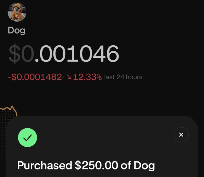 A mobile screenshot showing a cryptocurrency called 'Dog' priced at $0.001046, down 12.33% in the last 24 hours, with a confirmation notification that $250.00 of Dog was purchased.