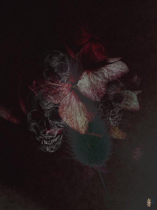 Dark, moody digital artwork featuring a blood-red flower overlaid with sketched skull imagery against a black background.