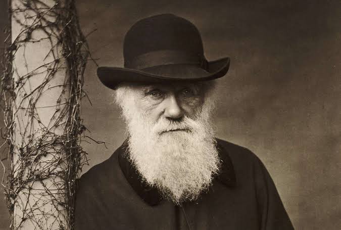 A sepia-toned vintage portrait of an elderly man with a long white beard, wearing a dark bowler hat and coat, standing next to a column entwined with dried vines.
