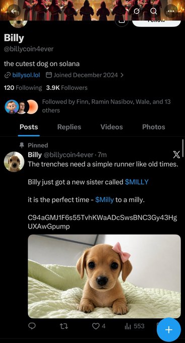 The image shows a cute brown puppy with a pink bow around its neck, sitting on top of a bedspread. The caption for this image reads " Billy #3ne9QxYRHybHK1LVmtEG8rH7L6nJ56W8KVWeB8ZGpump". This post is about the cutest dog ever named Billy and it was posted on social media by a user named Billycoinderver. The post includes a photo of the puppy, which has been shared with over 100 followers.