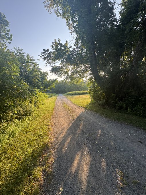 A scenic photograph of a dirt path winding through a lush green landscape with tall trees on either side, with the photographer's shadow visible on the path in warm evening sunlight.