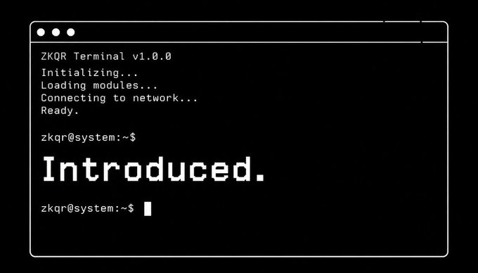 A stylized terminal window displays 'ZKQR Terminal v1.0.0' booting up, with initialization messages and the word 'Introduced.' typed at the 'zkqr@system:~$' prompt.