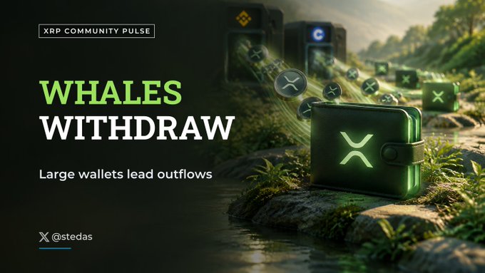 An XRP Community Pulse graphic titled 'WHALES WITHDRAW' with subtitle 'Large wallets lead outflows,' showing XRP coins flowing from a digital wallet against a green forest background.