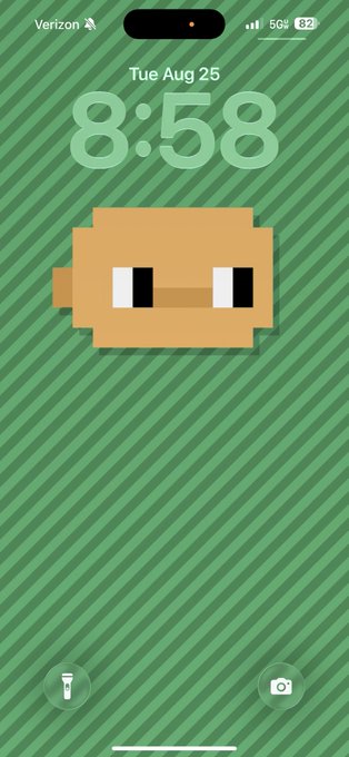 A phone lockscreen displays "Tue Aug 25" and "8:58" in large light green numerals, featuring a pixelated orange cat face wallpaper on a green striped background, fittingly accompanying the "Gm Chonks" morning greeting.