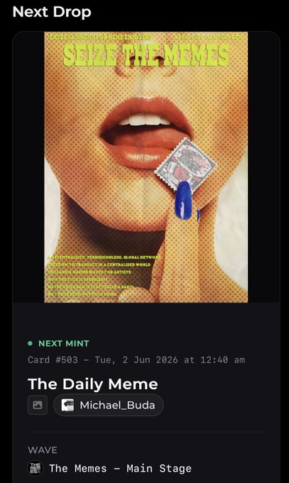 The image shows a cell phone screen displaying an album cover of a woman's face, which appears to be a meme or poster related to the daily memo app. The album title "Seize The Memes" is also visible on the screen. The main focus of the image is the album cover and its connection to the daily memo app.