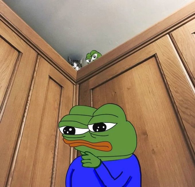 A photo of a cat peeking over wooden closet doors, digitally edited with a large sad Pepe the Frog meme character in the foreground thinking, and a smaller Pepe in the corner.