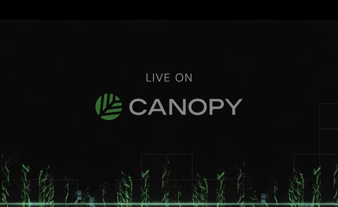 A dark promotional graphic displaying 'LIVE ON CANOPY' with a green logo, featuring abstract green foliage designs at the bottom.