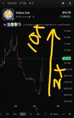 TradingView chart of CelcoinCat (CELCOIN) showing price at $10.7K with a massive upward move indicated by hand-drawn yellow arrow marked 'NF+'.