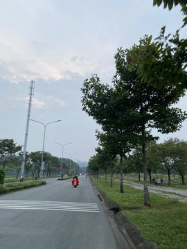A street view on an overcast day showing a tree-lined road with a motorcyclist riding along it, street lamps lining the median, and a tall transmission tower visible in the distance.