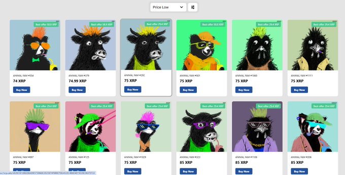 An NFT marketplace listing multiple Animal-themed digital art pieces priced at 74-85 XRP, each marked as "Best offer" with a "Buy now" button.