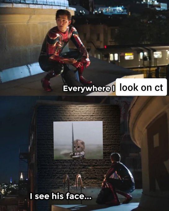 A meme using scenes from Spider-Man: Far From Home with text 'Everywhere I look on ct I see his face...' showing Spider-Man looking at a projected image of a dog holding a sword.