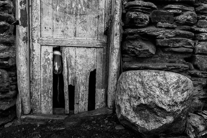 A black-and-white photograph of a weathered wooden door with broken slats, behind which a hand reaches out in apparent plea—visually embodying the title "Let me Free!"—set against a rough stone wall with a large boulder beside it. The cracked door and reaching hand serve as a poignant metaphor for the artwork's theme of confinement and the desire for liberation, now sold as part of a 4/10 limited edition collection.