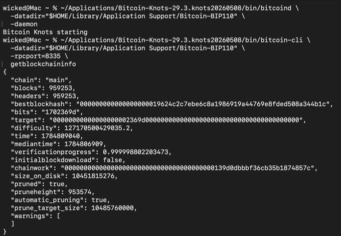 A terminal screenshot shows a user running Bitcoin Knots (v29.3) on a Bitcoin BIP110 signet, with `getblockchaininfo` displaying 959,253 blocks and difficulty 127,170,500,429,035.2 — visually aligns with the "Literally." caption by depicting a node running BIP110 signet rather than the standard Bitcoin mainnet.