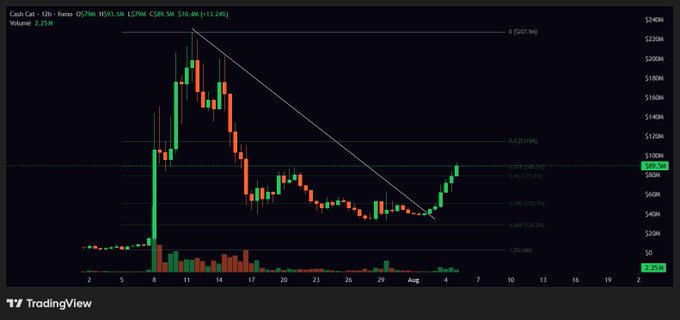 A 12-hour candlestick chart of Cash Cat (CASHCAT/USDT) on TradingView showing a 13.24% gain at $10.44, with price rebounding sharply from the 0.786 Fibonacci retracement level near $7.00 toward the 0.618 level at $10.96, supporting the post's claim of a 2x move from the lower fibs.