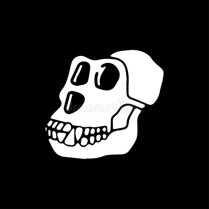 A simple white illustration of a skull with a large front tooth and dark eye sockets against a black background.