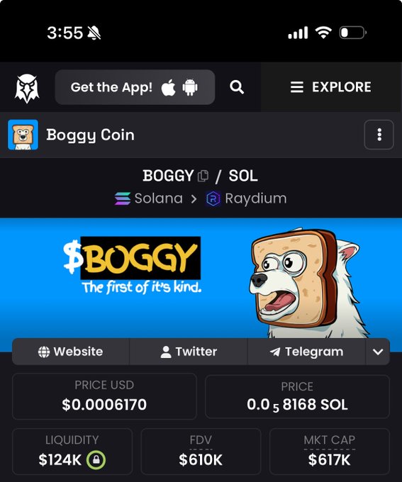 A mobile screenshot of a cryptocurrency token called Boggy Coin (BOGGY/SOL) on the Solana blockchain via Raydium, priced at $0.0006170 with a $617K market cap.