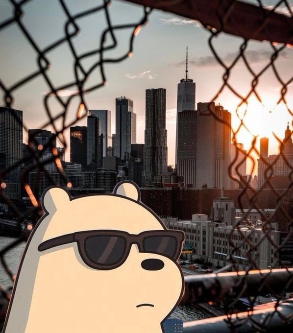 A cartoon bear wearing sunglasses is superimposed against a sunset cityscape viewed through a chain-link fence, with the One World Trade Center visible among the skyline.