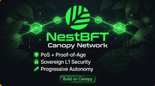 A green and black promotional graphic for 'NestBFT Canopy Network' highlighting features like 'PoS + Proof-of-Age', 'Sovereign L1 Security', and 'Progressive Autonomy' with a 'Build on Canopy' button.