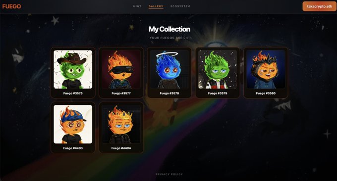 The image shows a "My Collection" page on the FUEGO NFT gallery website, displaying seven unique flaming character avatars with different numbered identifiers (Fuego #3576, #3577, #3578, #3579, #3580, #4403, and #4404), along with the user's wallet address "talkcrypto.eth" in the top right. The vibrant digital art collection visually represents the "FUEGO" cryptocurrency and NFT project mentioned in the post, highlighting its speculative momentum ("getting reeled in") against the more stable "Lighter" alternative.