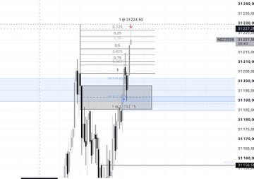A financial trading chart showing price levels around 31224.60 with Fibonacci retracement levels (0, 0.25, 0.5, 0.75, 1) marked on the left side and a highlighted price zone around 31191.75.