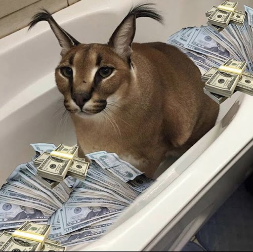 The image features a cat sitting inside of a bathtub, surrounded by piles of cash. The cat appears to be enjoying itself as if it's a lavish bathing experience with plenty of money floating around. Above the scene, there are dollar bills scattered in various sizes and colors, indicating that this is not an everyday occurrence for the cat. The accompanying caption from the post highlights a feature called "vvv" that allows users to mint their currency into their wallet, possibly suggesting that someone has been using this unusual setup as a creative way to store money or create a unique ambiance during a bath with the cat.