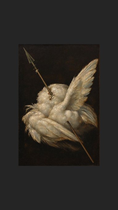 A classical oil painting style image of a coiled white swan pierced by two arrows, set against a dark, shadowy background.